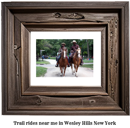 trail rides near me in Wesley Hills, New York